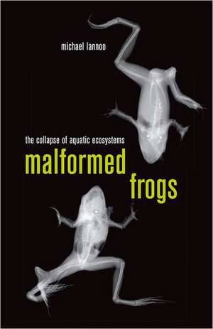 Malformed Frogs – The Collapse of Aquatic Ecosystems de Michael Lannoo