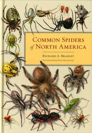 Common Spiders of North America de Richard Bradley