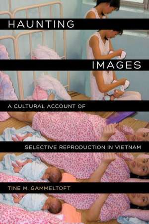 Haunting Images – A Cultural Account of Selective Reproduction in Vietnam de Tine M Gammeltoft