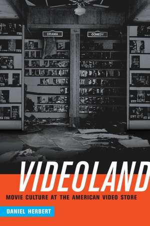 Videoland – Movie Culture at the American Video Store de Daniel Herbert