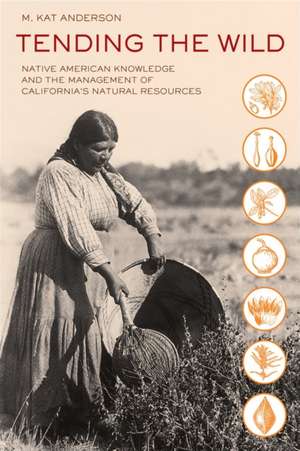 Tending the Wild – Native American Knowledge and the Management of California′s Natural Resources 2e de M Kat Anderson