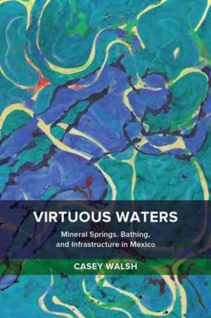 Virtuous Waters – Mineral Springs, Bathing, and Infrastructure in Mexico de Casey Walsh