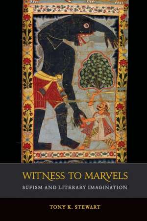 Witness to Marvels – Sufism and Literary Imagination de Tony K. Stewart