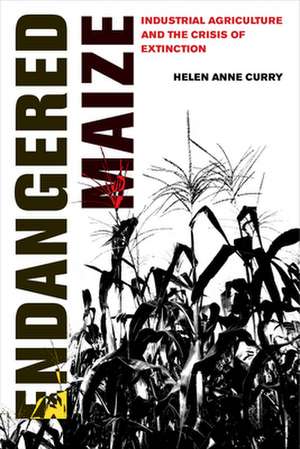 Endangered Maize de Helen Anne Curry