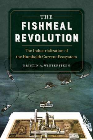 The Fishmeal Revolution – The Industrialization of the Humboldt Current Ecosystem de Kristin A. Wintersteen