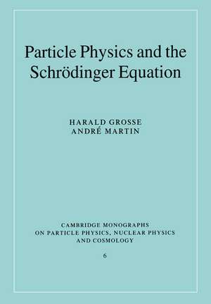 Particle Physics and the Schrödinger Equation de Harald Grosse