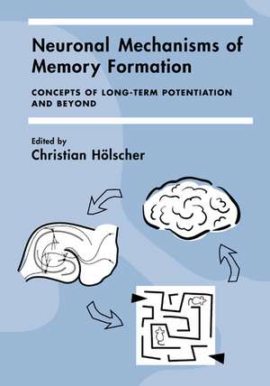 Neuronal Mechanisms of Memory Formation: Concepts of Long-term Potentiation and Beyond de Christian Hölscher