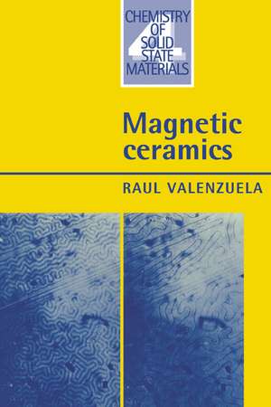 Magnetic Ceramics de Raul Valenzuela