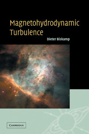 Magnetohydrodynamic Turbulence de Dieter Biskamp