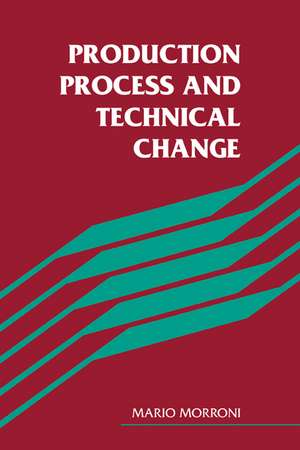 Production Process and Technical Change de Mario Morroni