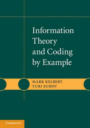 Information Theory and Coding by Example de Mark Kelbert