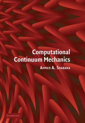 Computational Continuum Mechanics de Ahmed A. Shabana