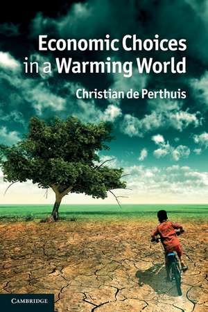 Economic Choices in a Warming World de Christian de Perthuis