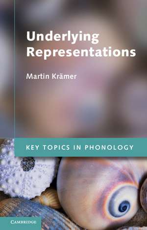 Underlying Representations de Martin Krämer