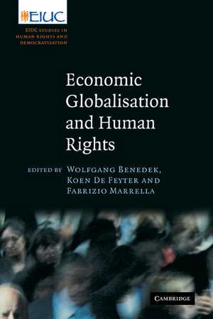 Economic Globalisation and Human Rights: EIUC Studies on Human Rights and Democratization de Wolfgang Benedek