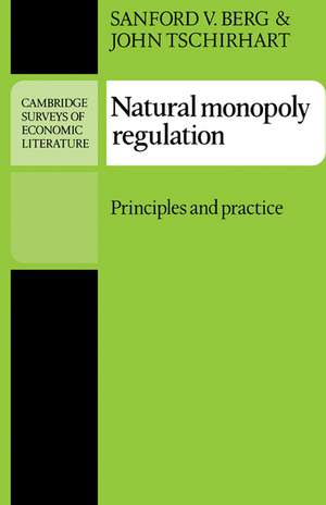 Natural Monopoly Regulation: Principles and Practice de Sanford V. Berg