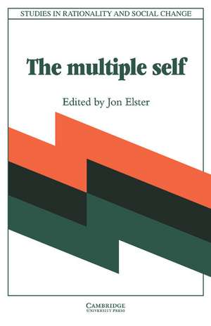 The Multiple Self de Jon Elster