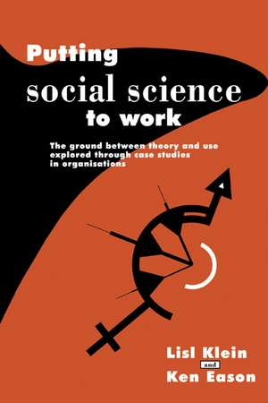 Putting Social Science to Work: The Ground between Theory and Use Explored through Case Studies in Organisations de Lisl Klein