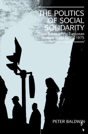 The Politics of Social Solidarity: Class Bases of the European Welfare State, 1875–1975 de Peter Baldwin