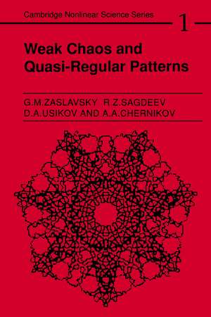 Weak Chaos and Quasi-Regular Patterns de Georgin Moiseevich Zaslavskiî