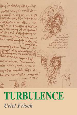 Turbulence: The Legacy of A. N. Kolmogorov de Uriel Frisch