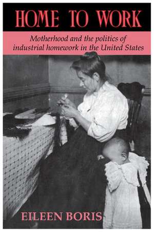 Home to Work: Motherhood and the Politics of Industrial Homework in the United States de Eileen Boris