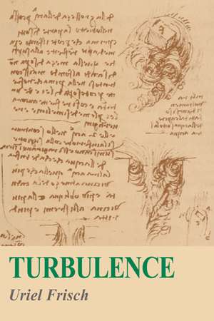 Turbulence: The Legacy of A. N. Kolmogorov de Uriel Frisch