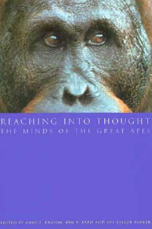 Reaching into Thought: The Minds of the Great Apes de Anne E. Russon