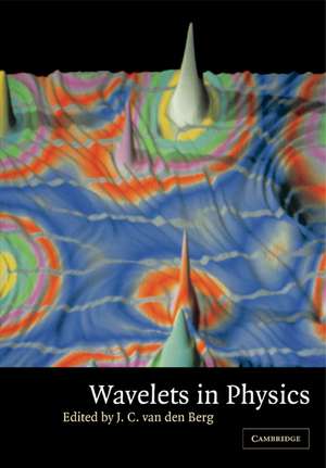 Wavelets in Physics de J. C. van den Berg