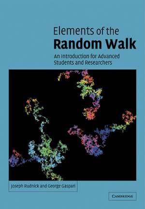 Elements of the Random Walk: An introduction for Advanced Students and Researchers de Joseph Rudnick