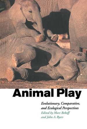 Animal Play: Evolutionary, Comparative and Ecological Perspectives de Marc Bekoff