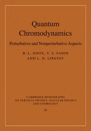 Quantum Chromodynamics: Perturbative and Nonperturbative Aspects de B. L. Ioffe