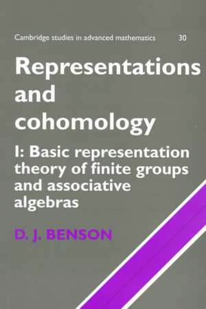 Representations and Cohomology: Volume 1, Basic Representation Theory of Finite Groups and Associative Algebras de D. J. Benson