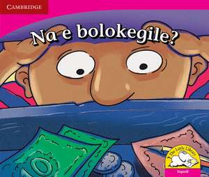 Na e bolokegile? (Sepedi) de Reviva Schermbrucker