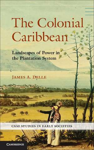 The Colonial Caribbean: Landscapes of Power in Jamaica's Plantation System de James A. Delle