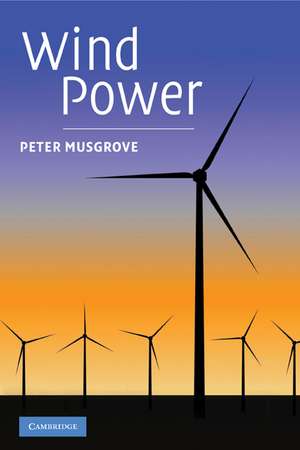 Wind Power de Peter Musgrove