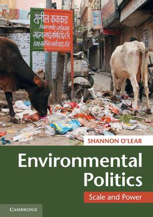 Environmental Politics: Scale and Power de Shannon O'Lear