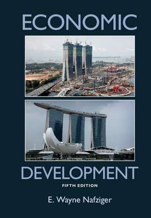 Economic Development de E. Wayne Nafziger