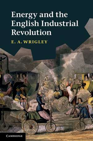 Energy and the English Industrial Revolution de E. A. Wrigley