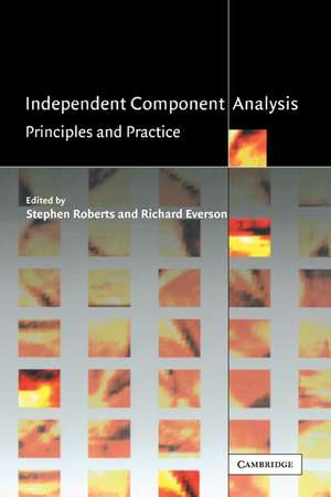 Independent Component Analysis: Principles and Practice de Stephen Roberts