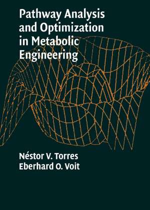 Pathway Analysis and Optimization in Metabolic Engineering de Néstor V. Torres