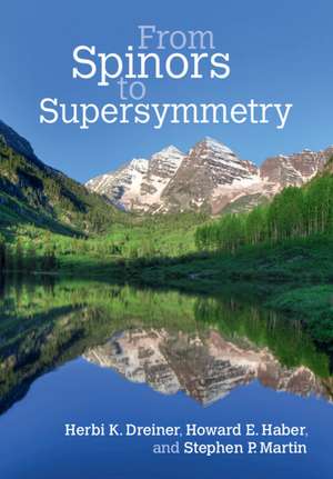 From Spinors to Supersymmetry de Herbi K. Dreiner