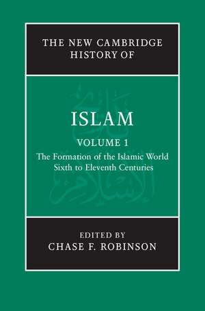 The New Cambridge History of Islam de Chase F. Robinson