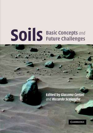 Soils de Riccardo Scalenghe