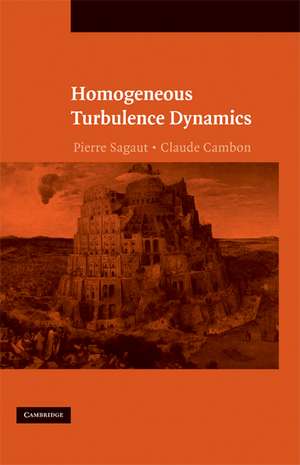 Homogeneous Turbulence Dynamics de Pierre Sagaut