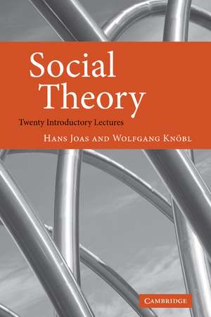 Social Theory: Twenty Introductory Lectures de Hans Joas