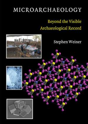 Microarchaeology: Beyond the Visible Archaeological Record de Stephen Weiner