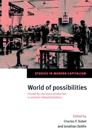 World of Possibilities: Flexibility and Mass Production in Western Industrialization de Charles F. Sabel