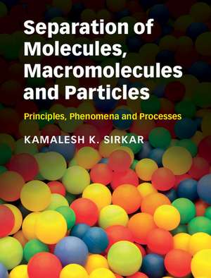 Separation of Molecules, Macromolecules and Particles: Principles, Phenomena and Processes de Kamalesh K. Sirkar