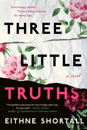 Three Little Truths de Eithne Shortall